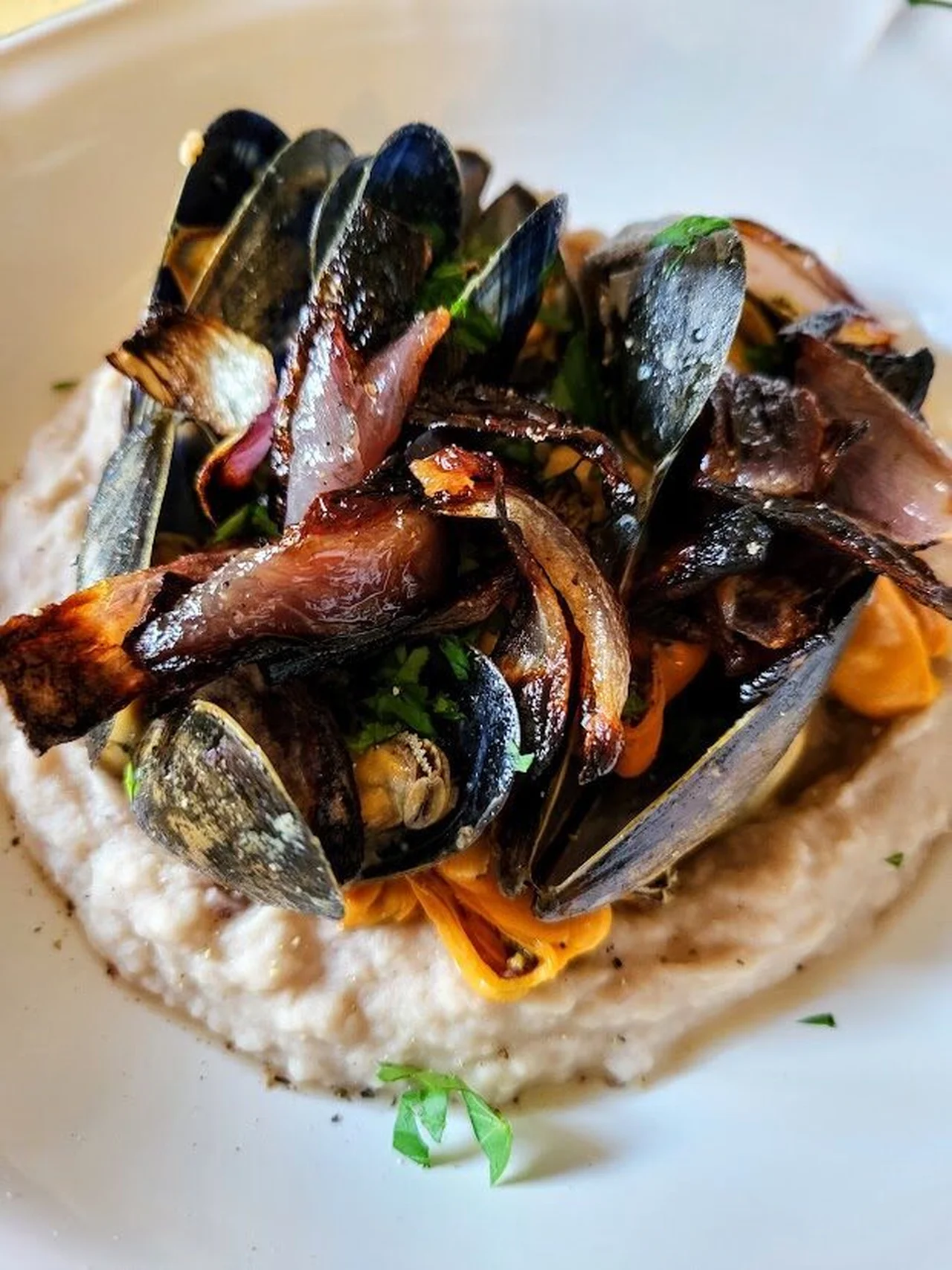 Moules sur crème de haricots cannellini