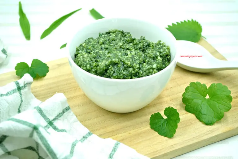 Pesto orties, plantain et lierre terrestre