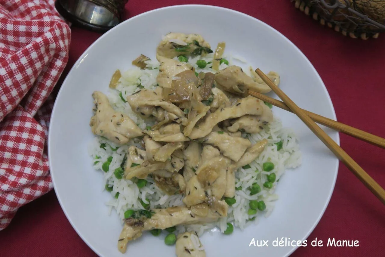 Emincés de poulet mariné sauce yakitori