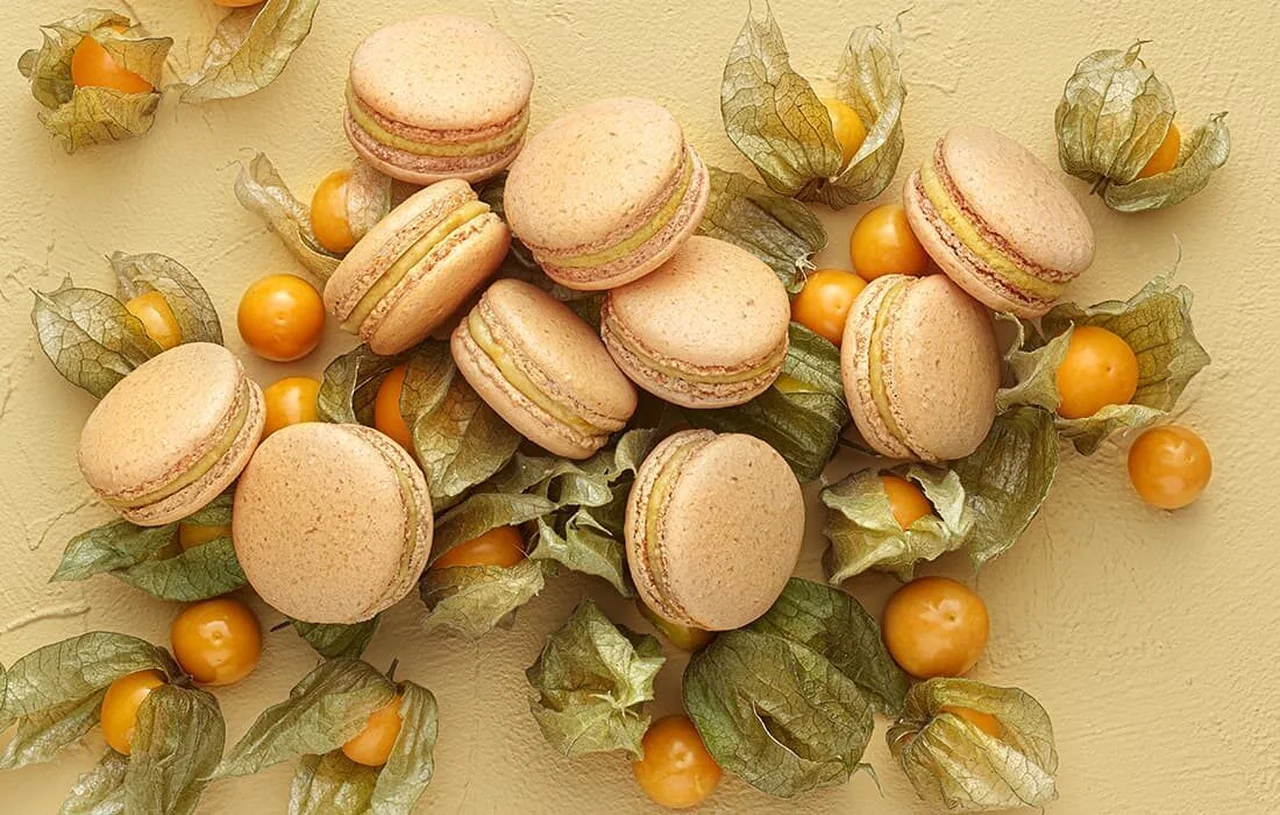 Le Macaron Ouréa