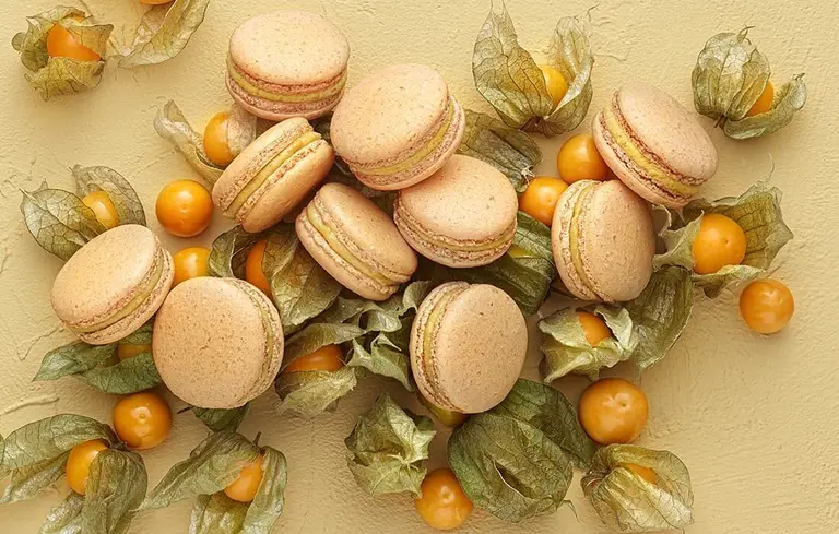 Le Macaron Ouréa