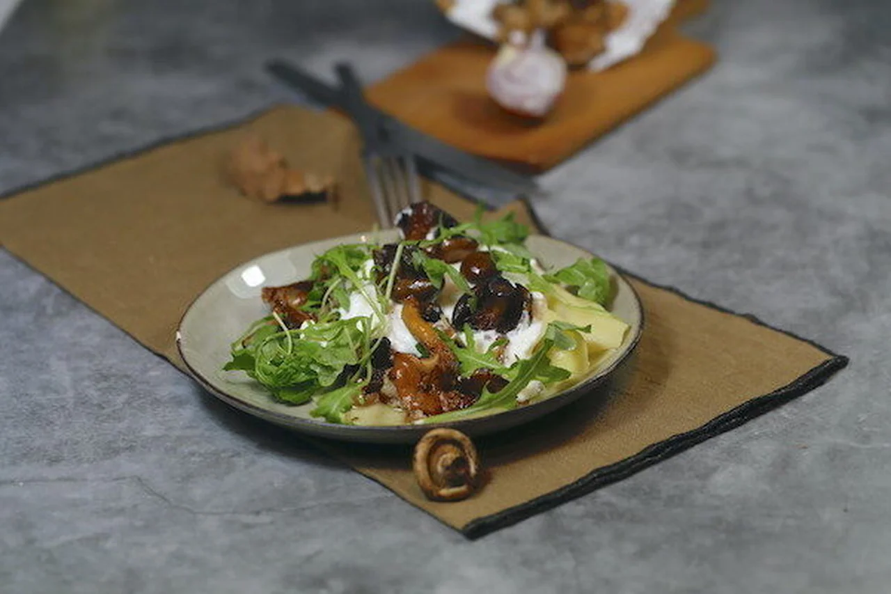 Lasagnes ouvertes aux champignons roquette et burratina