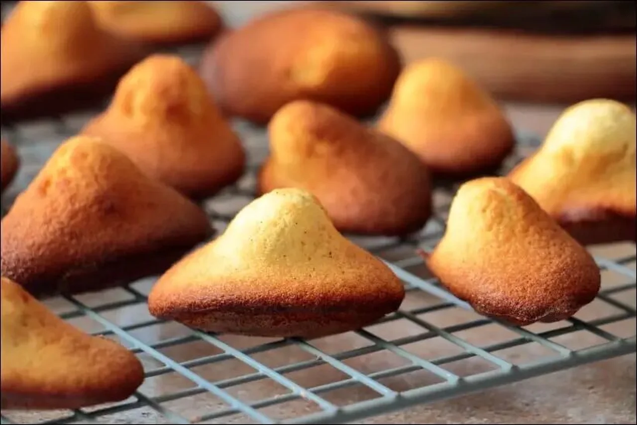 Madeleines à la vanille, poudre d'amandes et miel