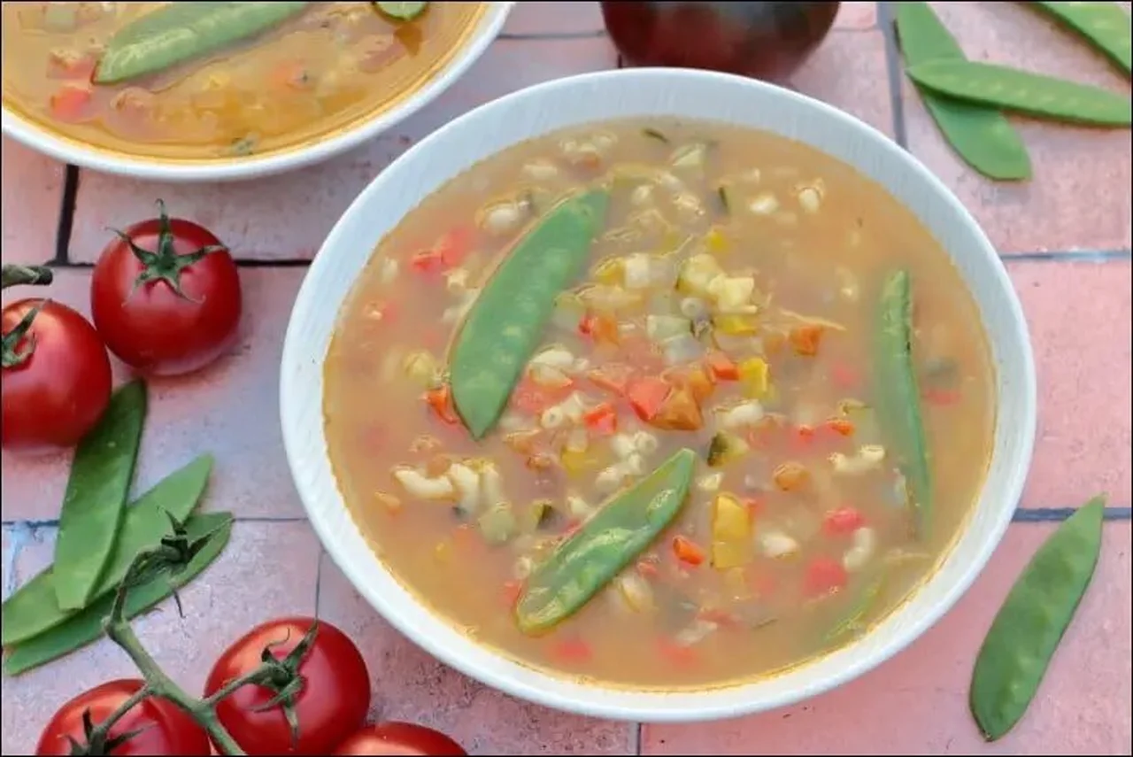 Minestrone à la tomate et origan