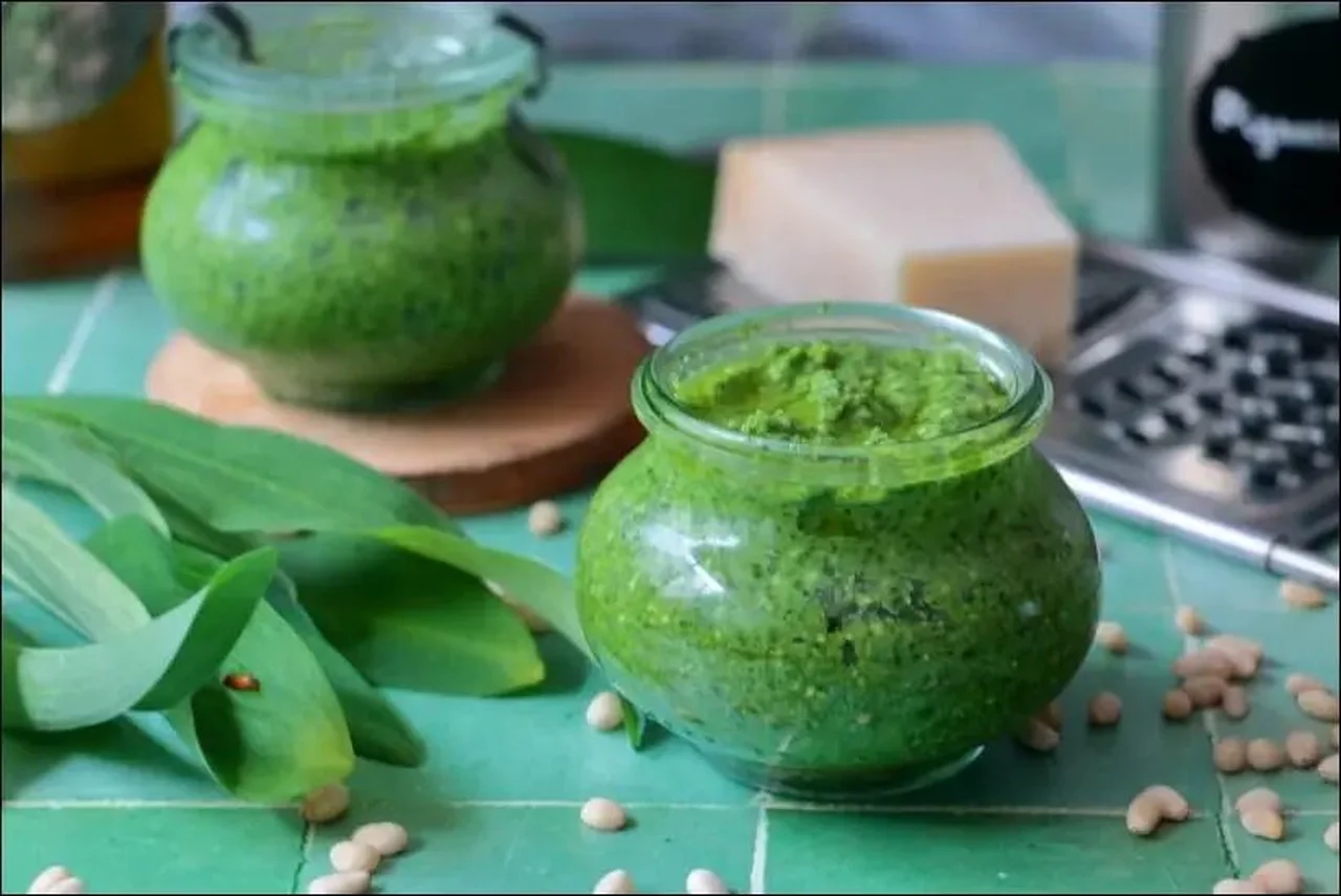 Pesto d'ail des ours