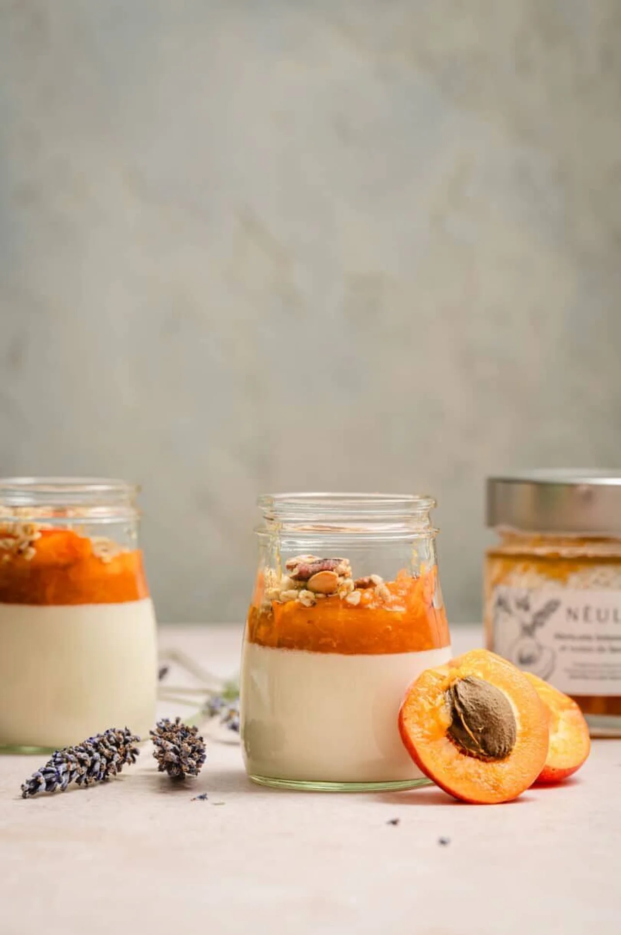 Panna cotta aux abricots maison