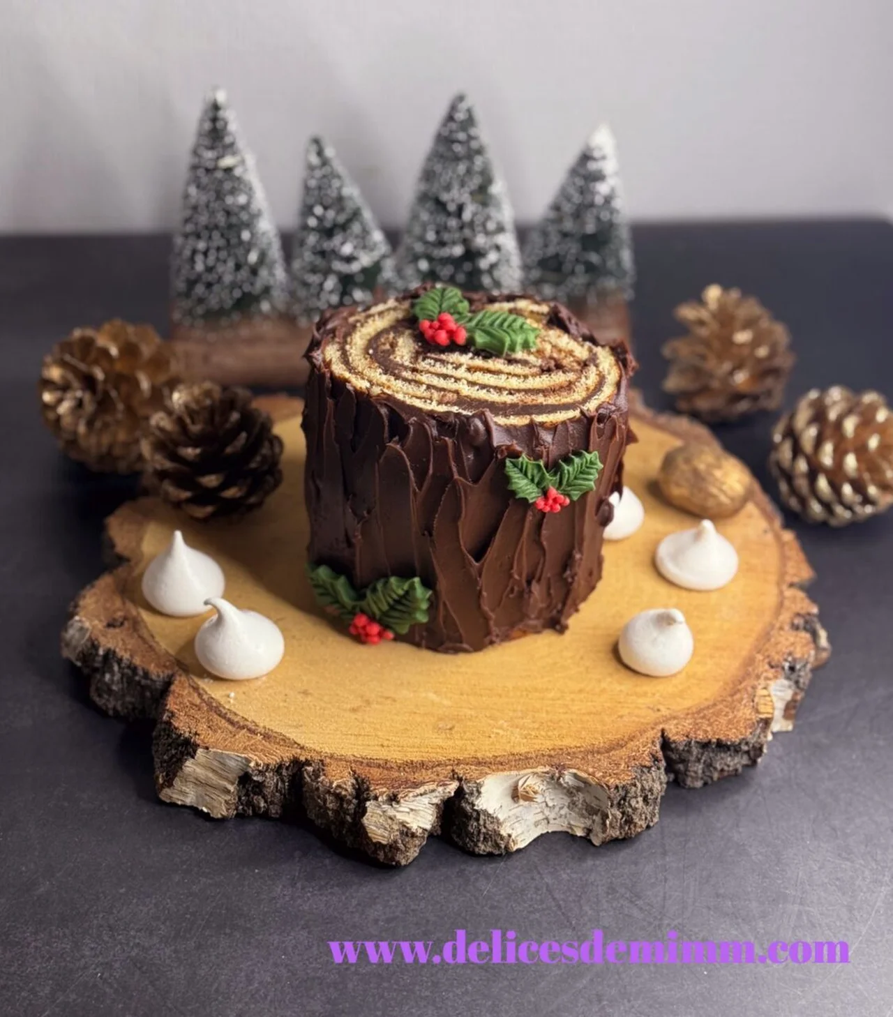 Bûche verticale au chocolat très simple