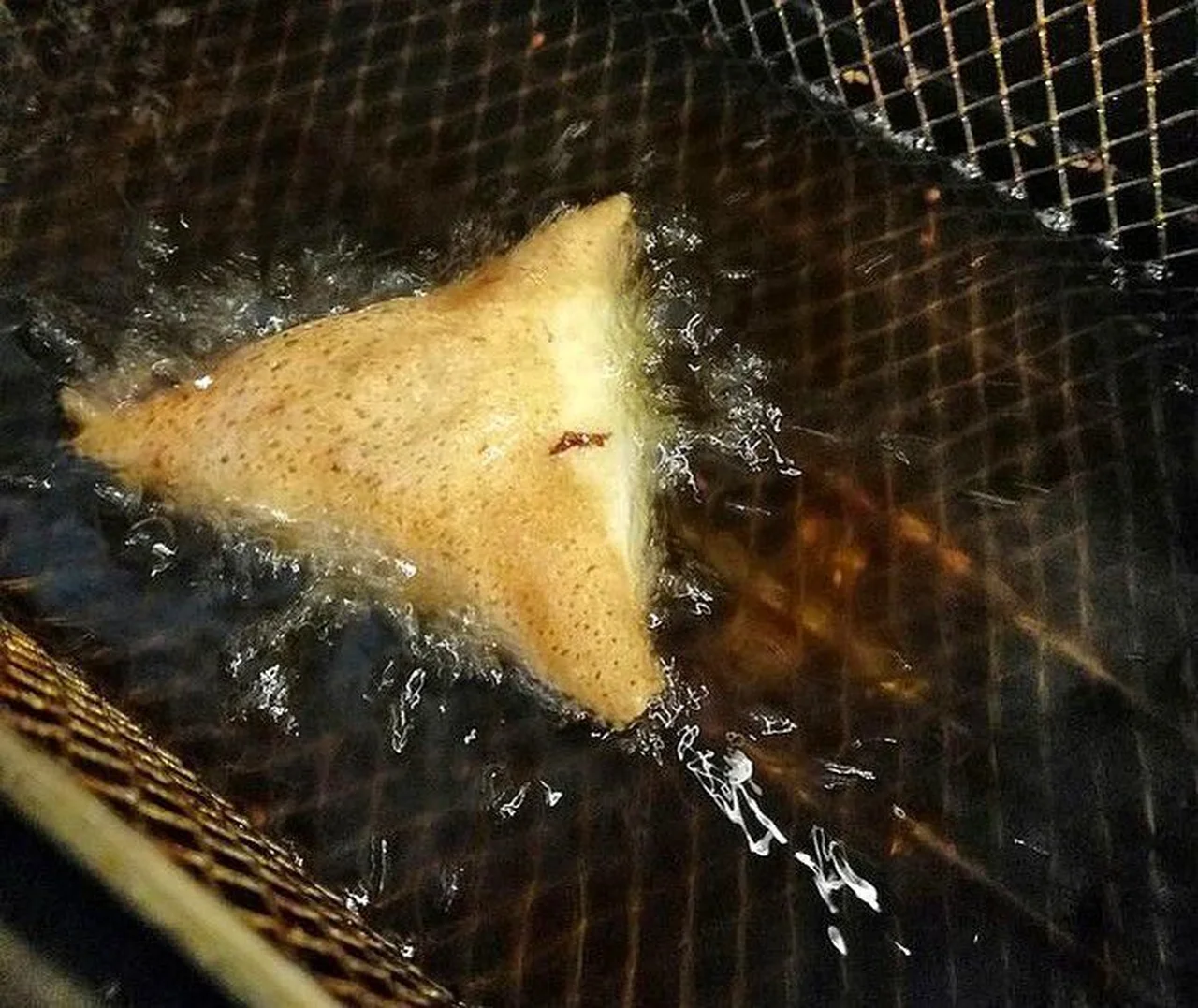 Samoussa au poisson créole