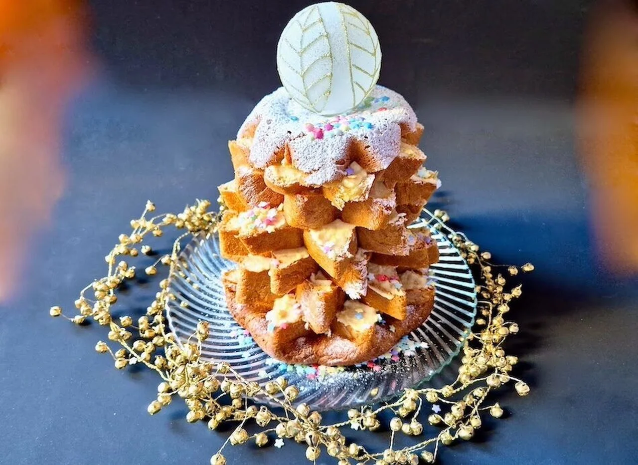Pandoro en sapin