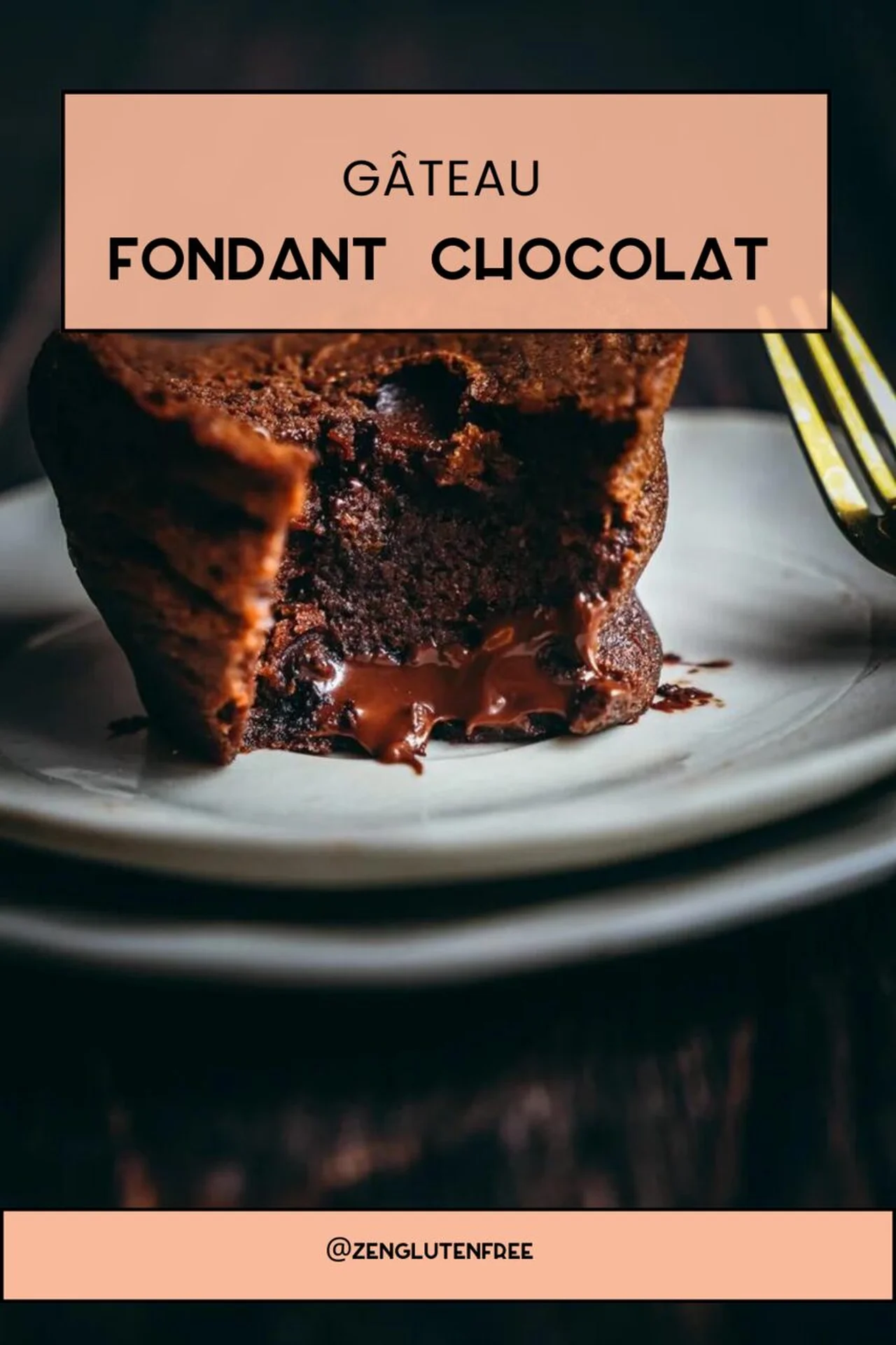 Gâteau fondant chocolat sans gluten