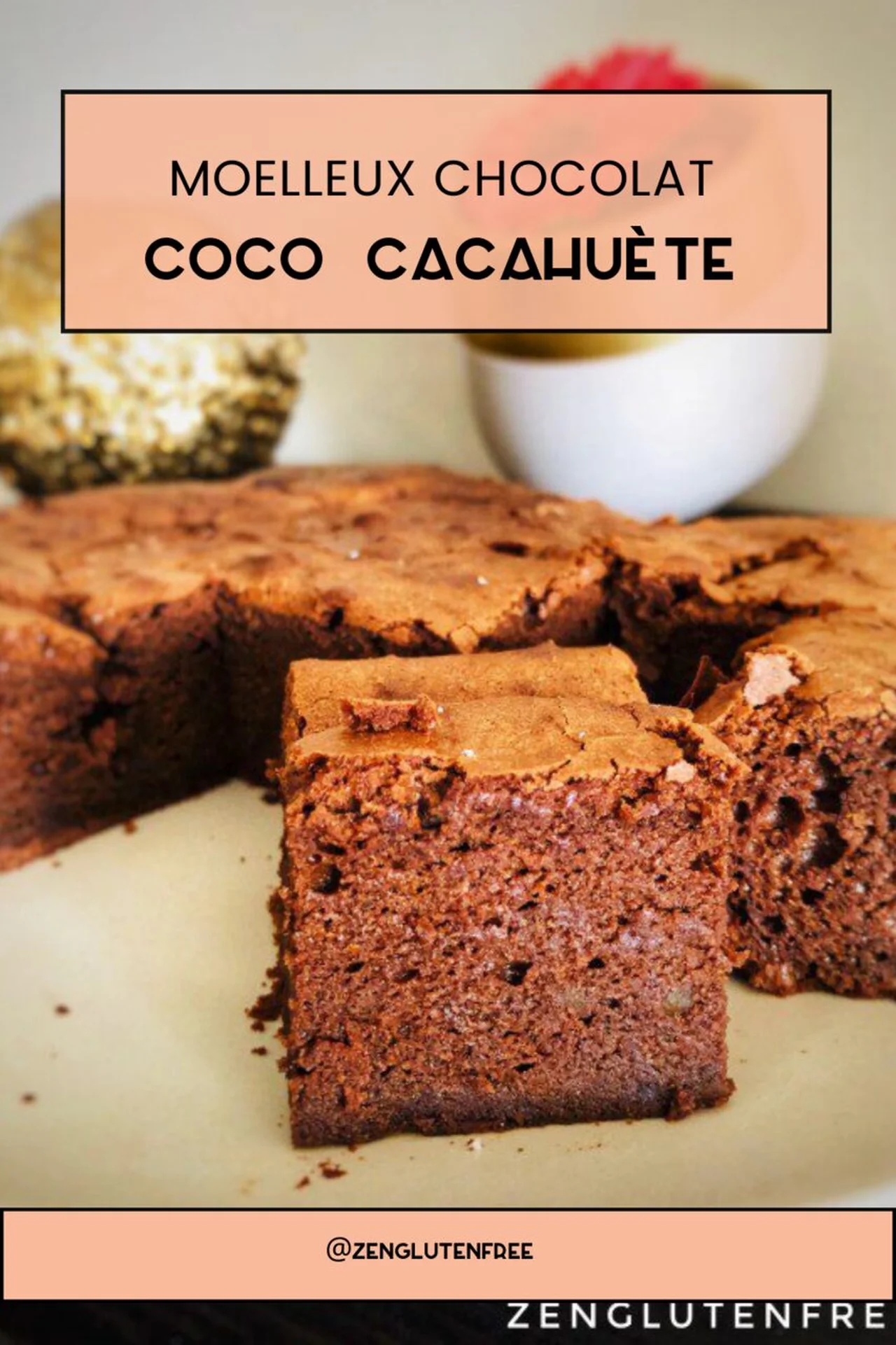Moelleux chocolat coco cacahuète