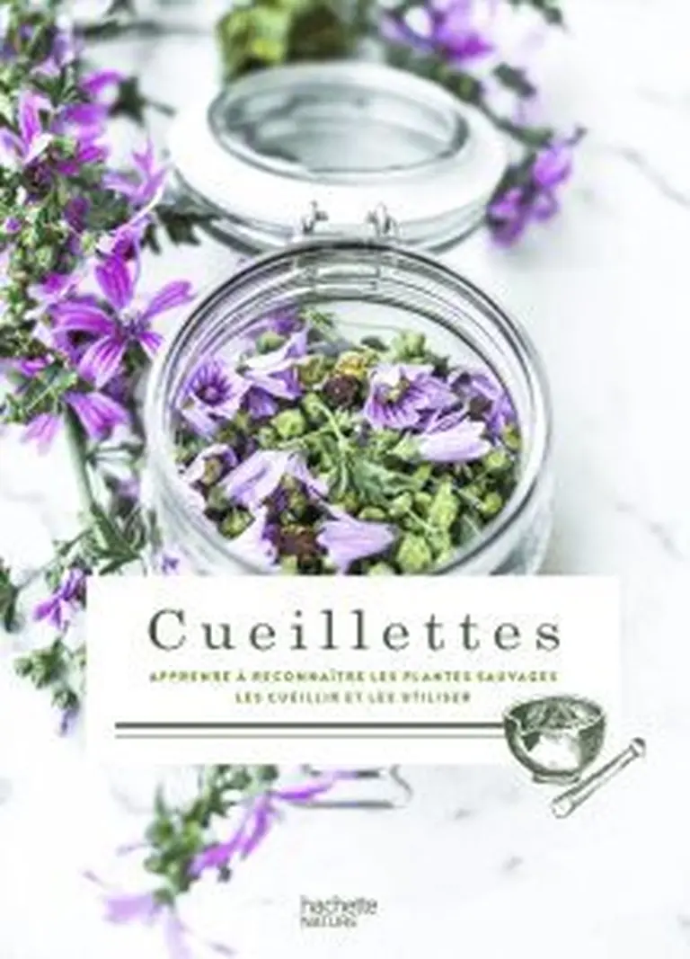 Croquettes de poisson aux herbes et épinards