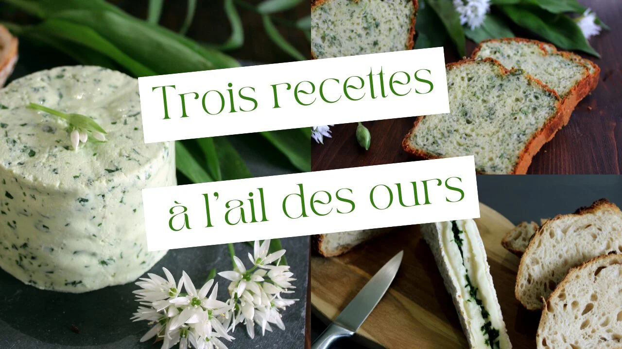 Cake, brie et fromage frais à l'ail des ours