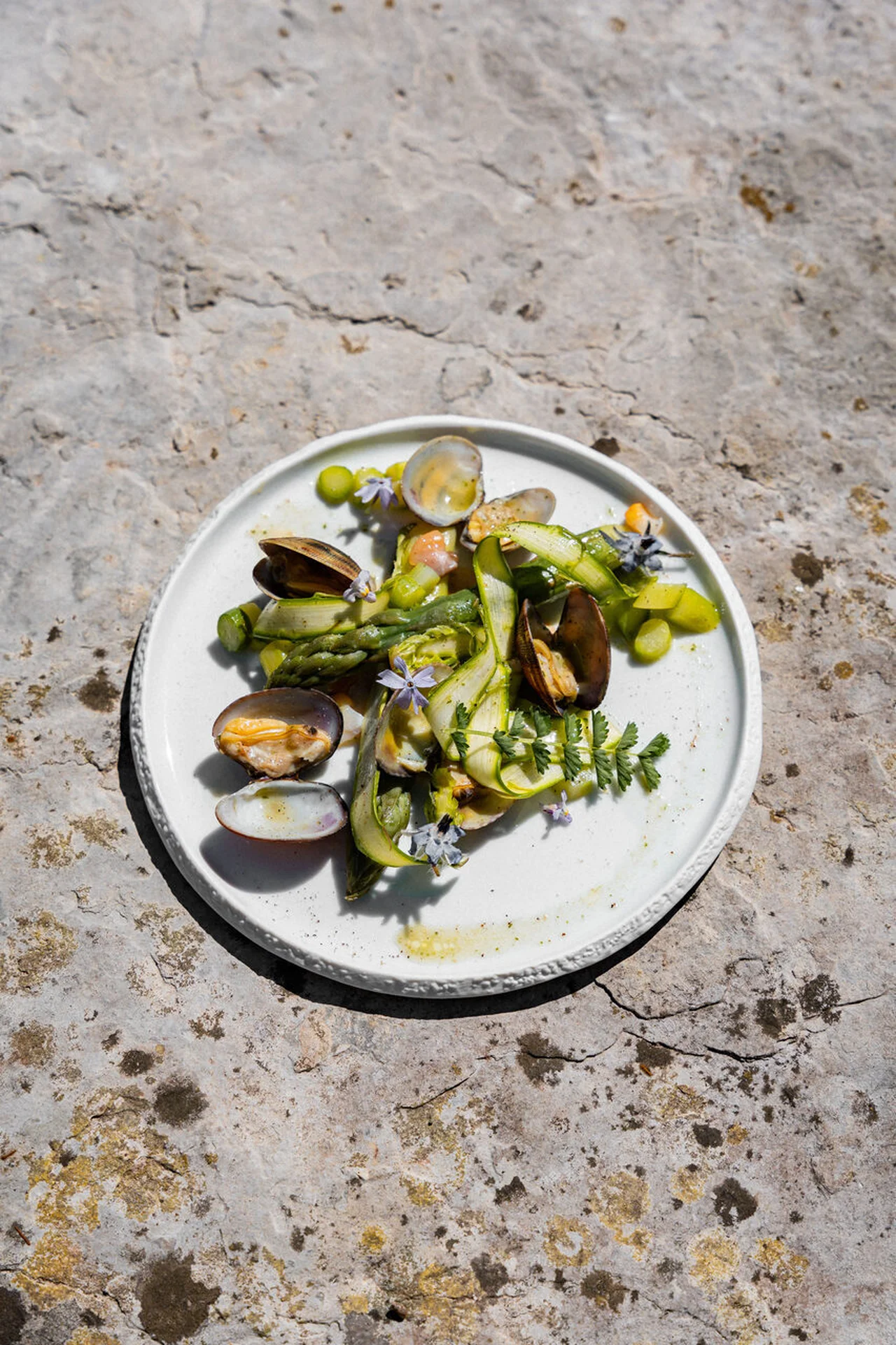 Asperges, tonnato et palourdes