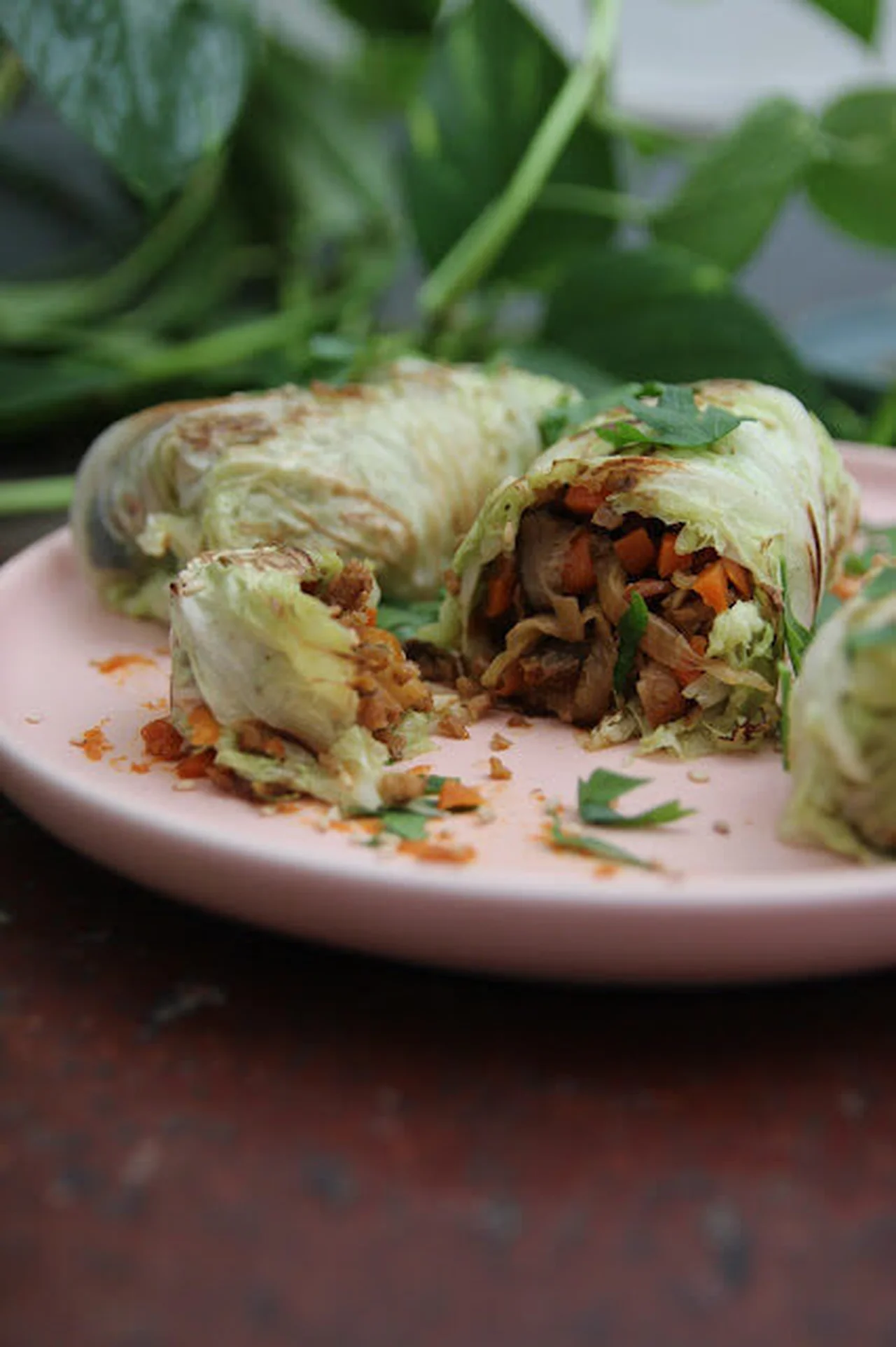 Rouleaux de chou chinois farcis
