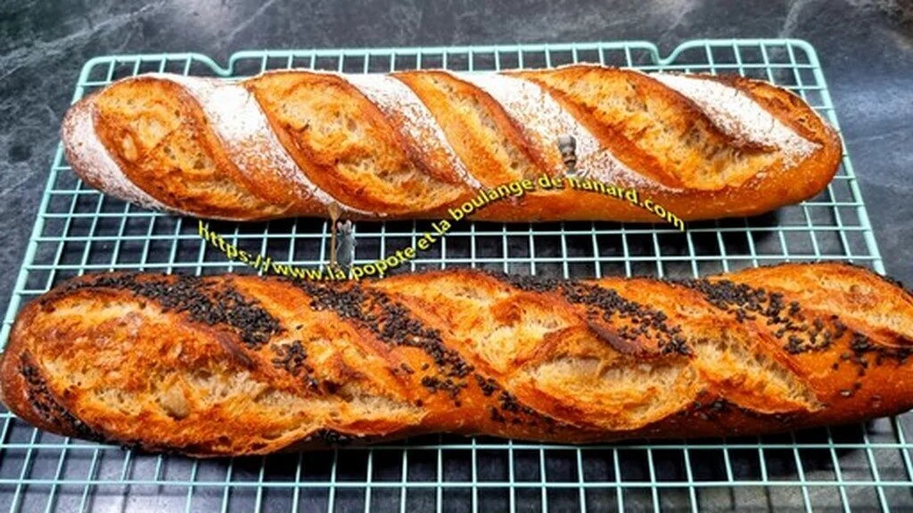 Baguettes de tradition française