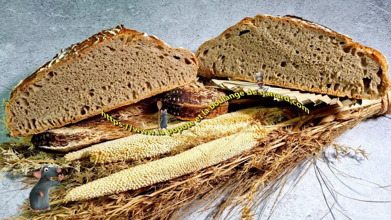Premier pain avec mon levain
