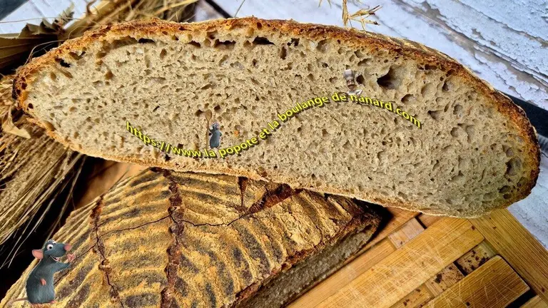 Tourte de meule
