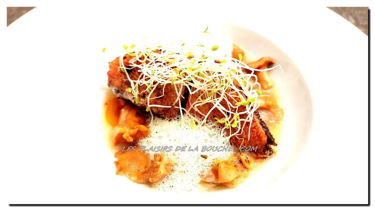 Filets de rouget farcis à la tapenade et girolles
