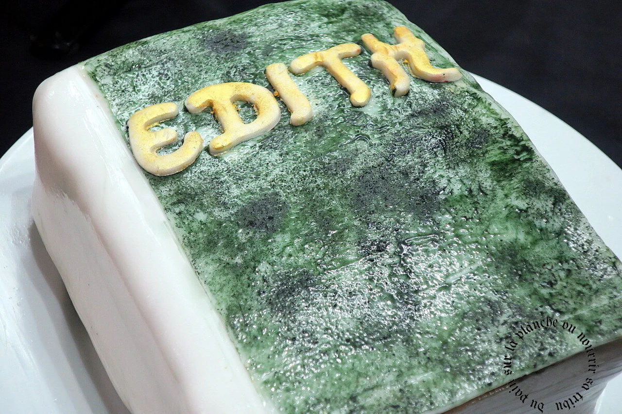 Gâteau d'anniversaire façon livre