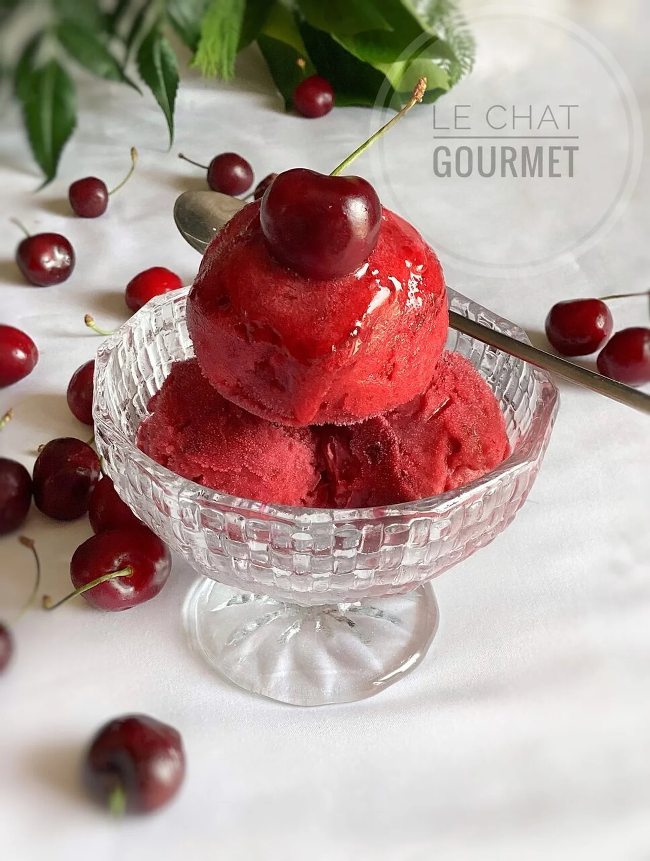 Sorbet à la cerise