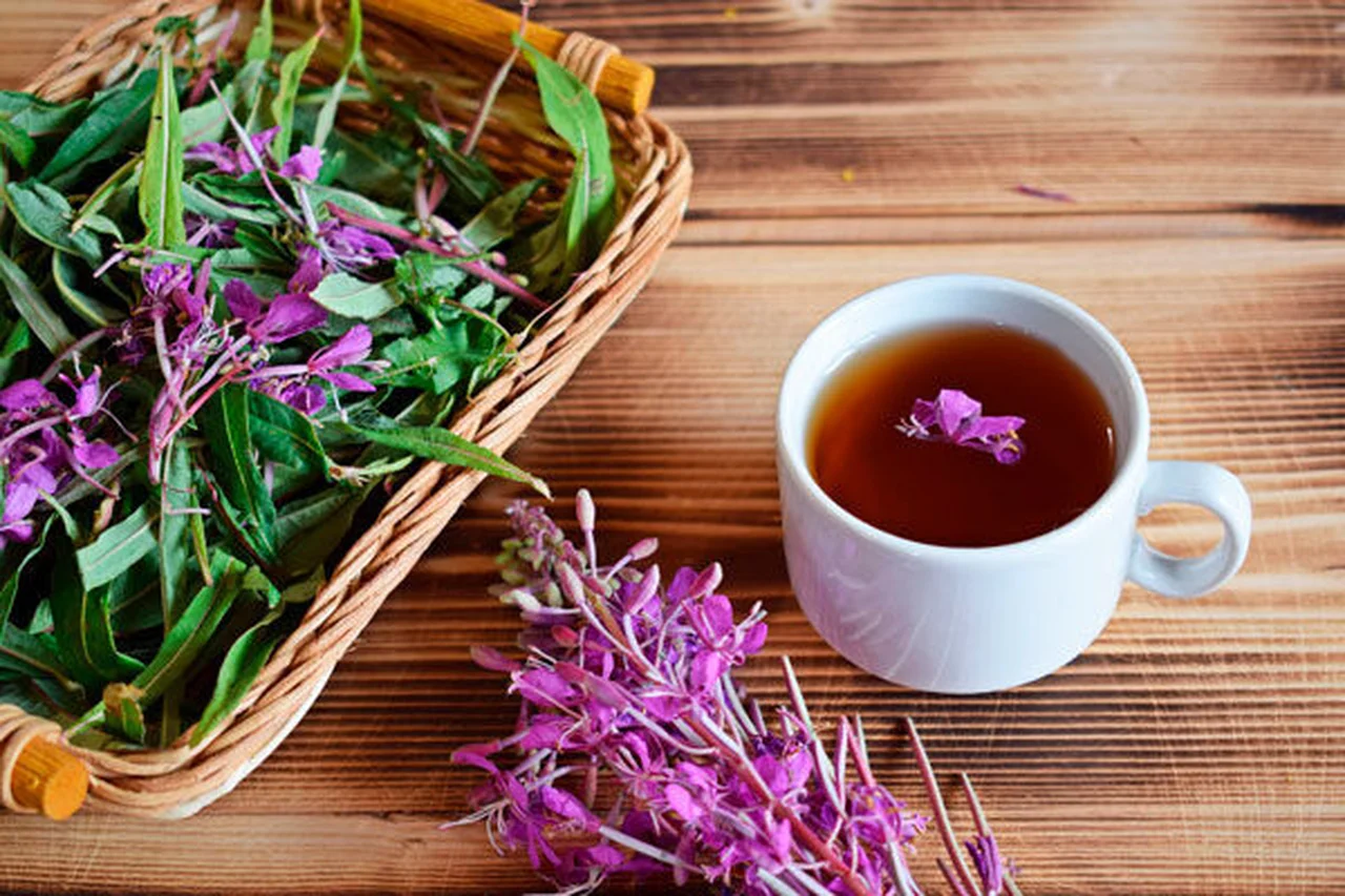 Tisane d'épilobe