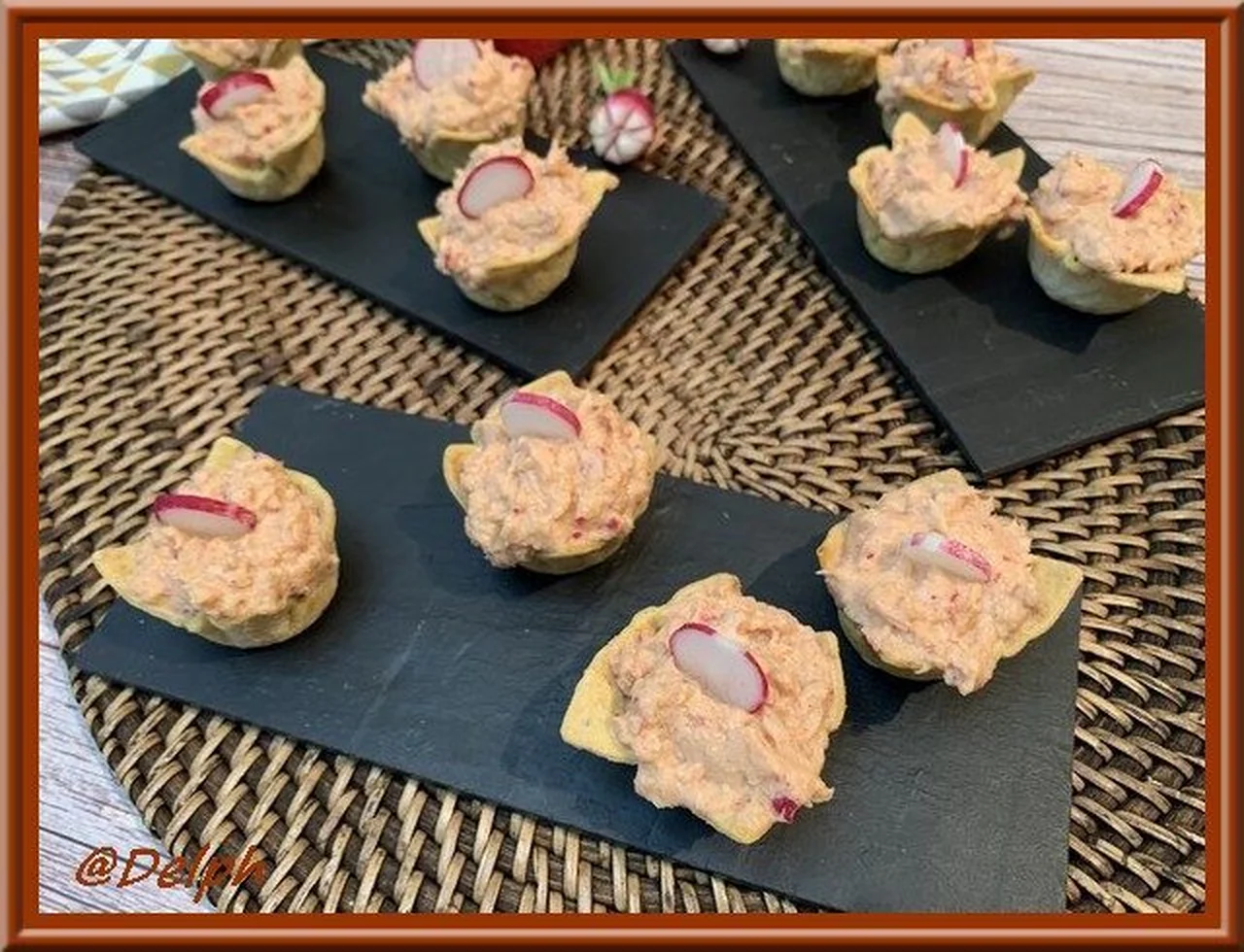 Tartinade de thon aux radis et fromage frais