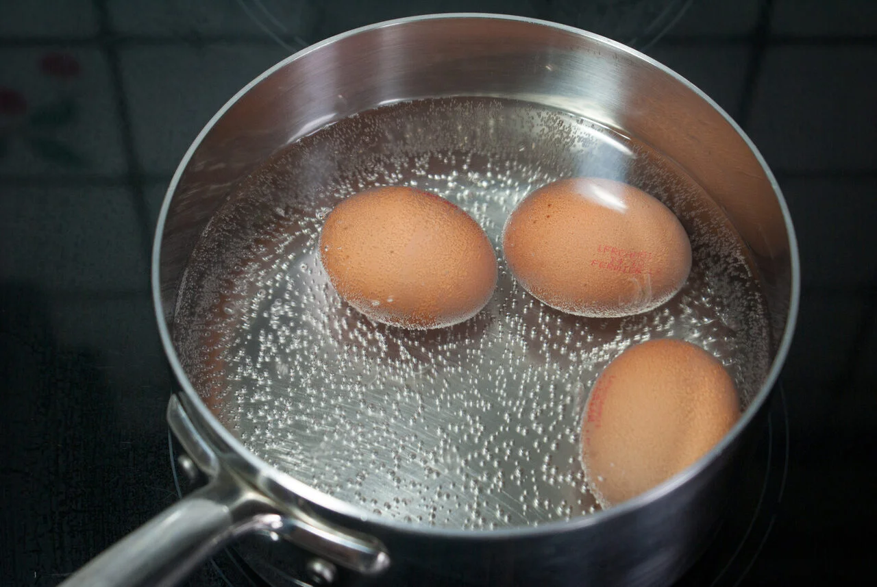 L'oeuf dur parfait