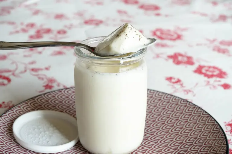Yaourts au lait entier