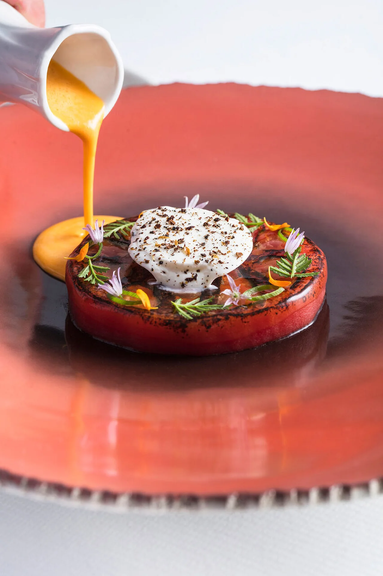 Tomate Tagète