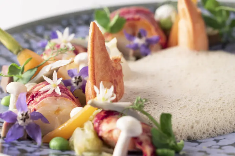 Blanquette de homard