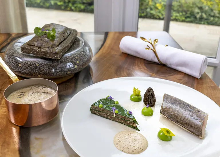 Omble et lentilles, morilles et livèche