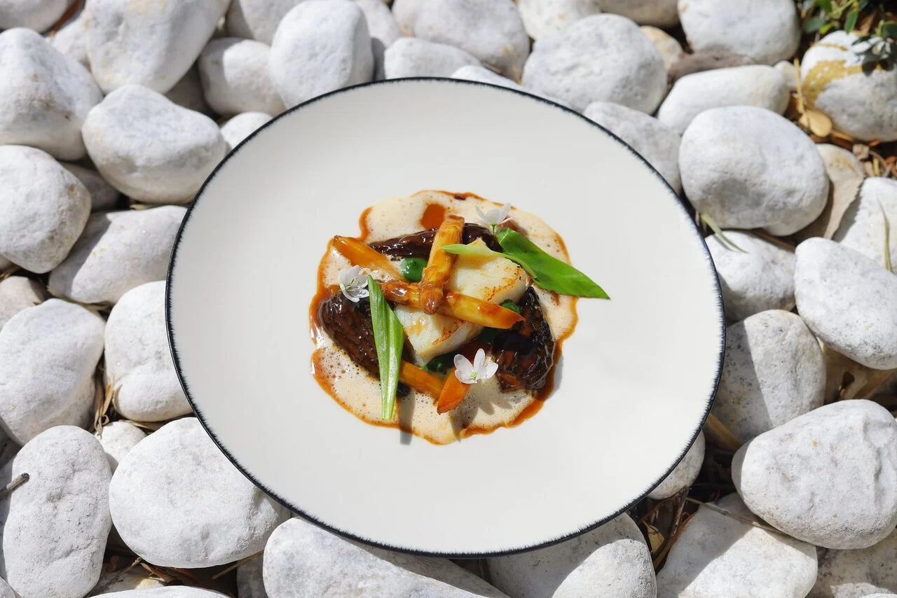 Turbot maturé, asperges blanches, morilles