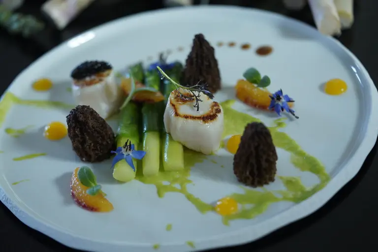Morilles, asperges vertes et Saint-Jacques