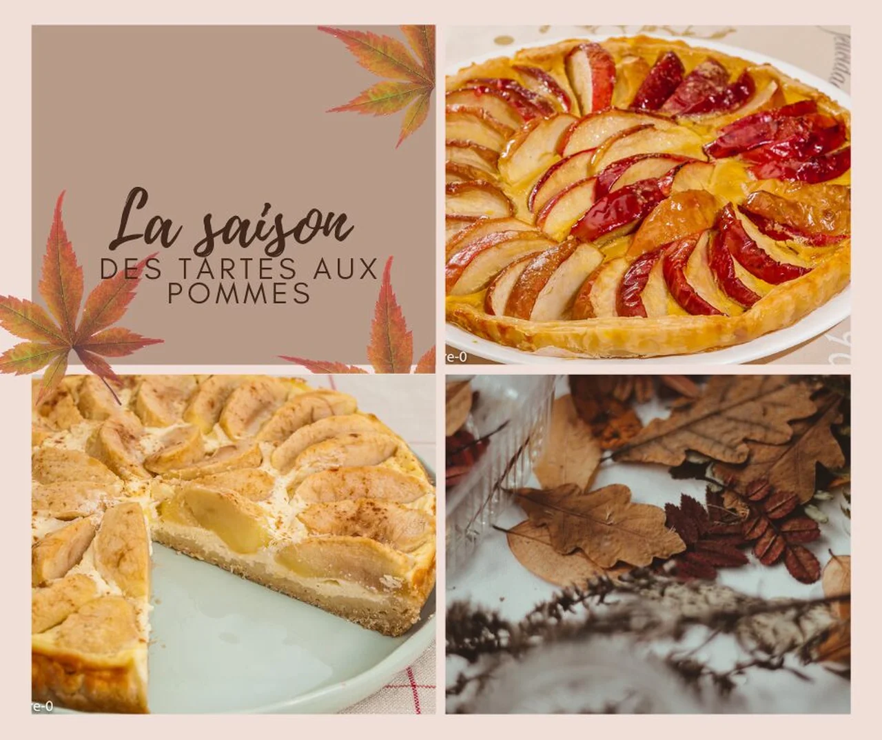 Tartes aux pommes