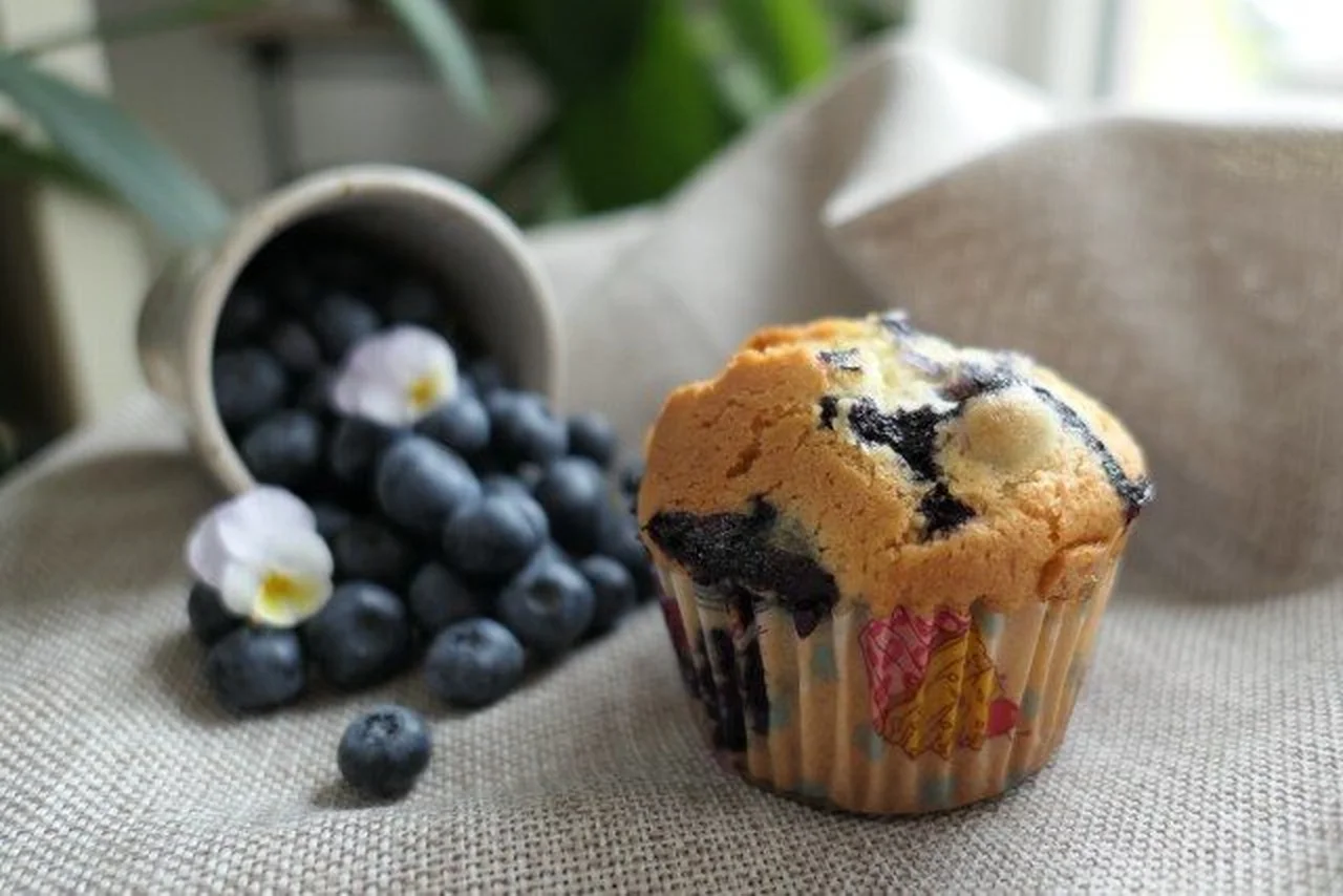 Muffins aux myrtilles
