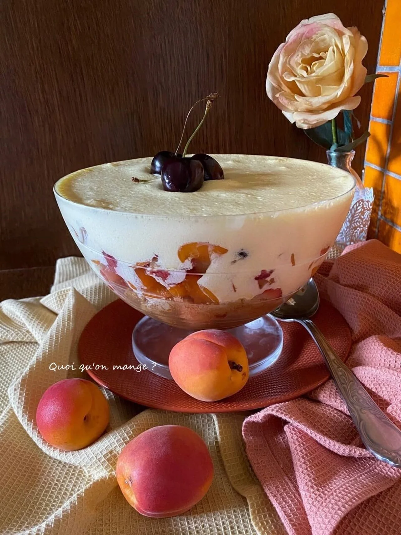 Gâteau aux fruits façon tiramisu aux abricots