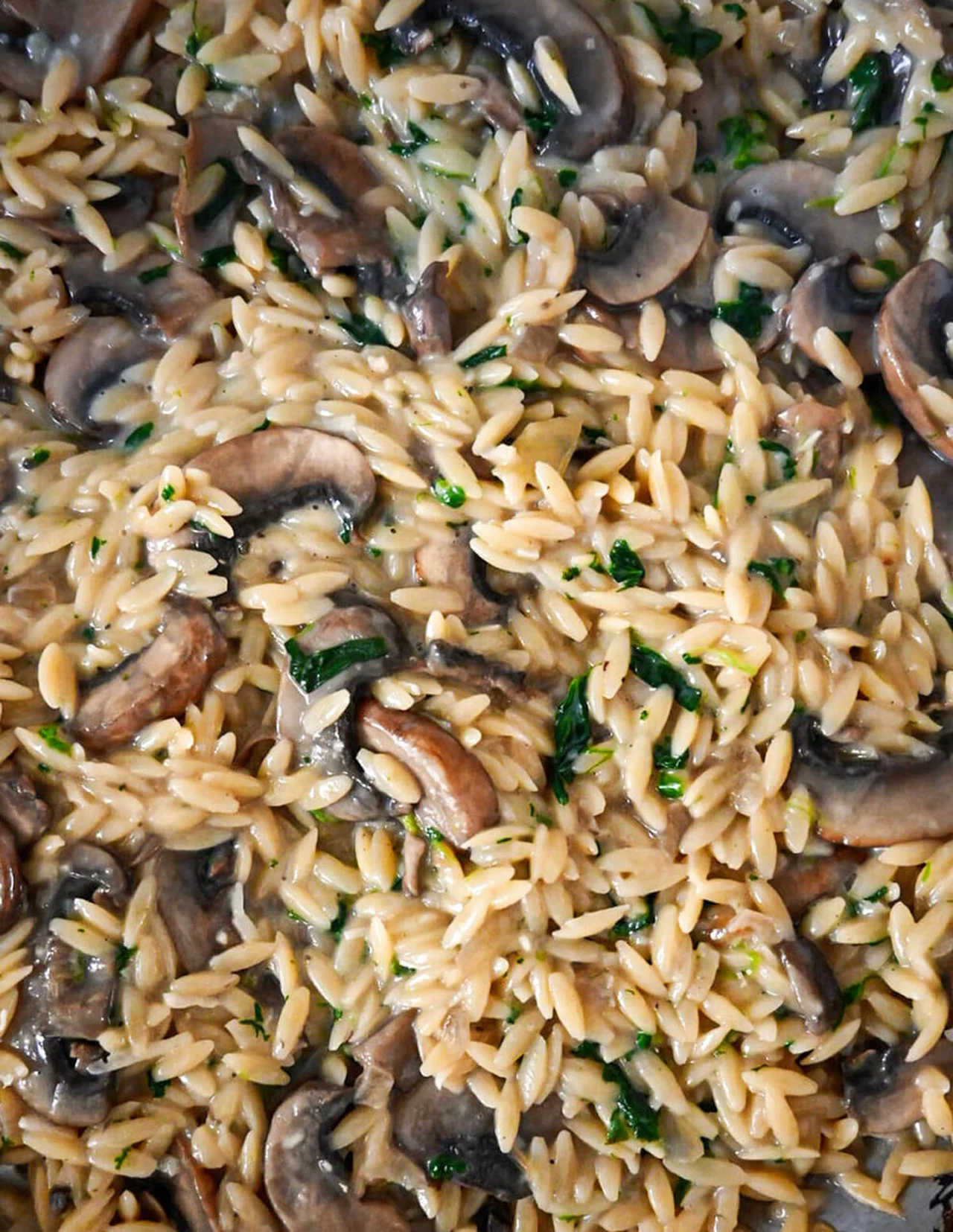 Pâtes orzo aux champignons