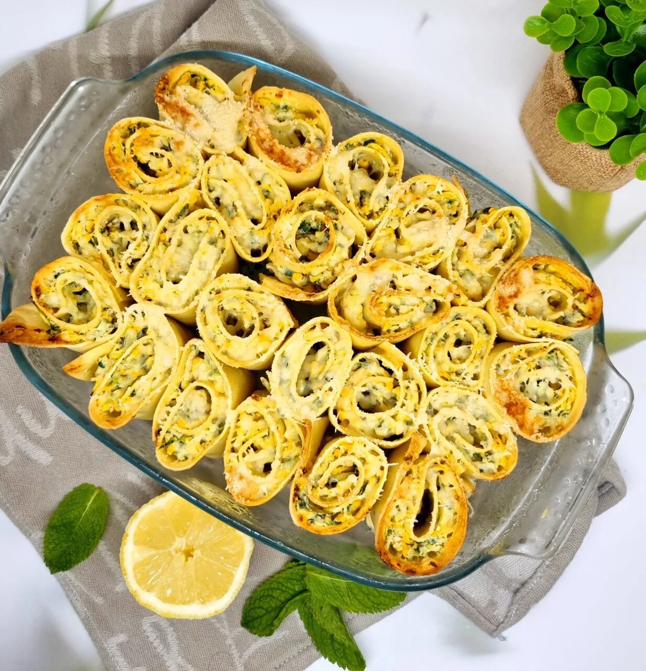 Lasagnes cannellonis de courgette